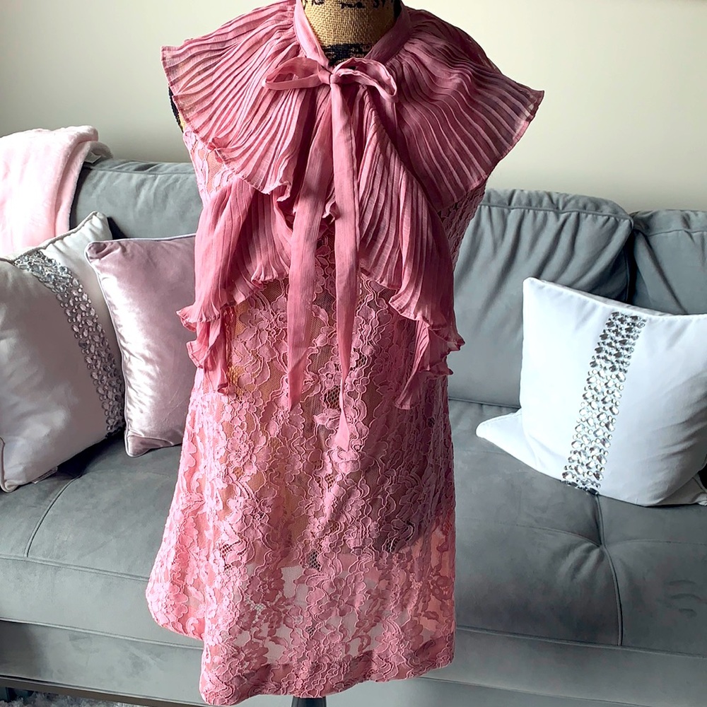 NWT TOV pink lace see thru lace dress or tunic